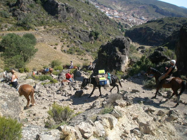 Paseos a caballo en la montaña
